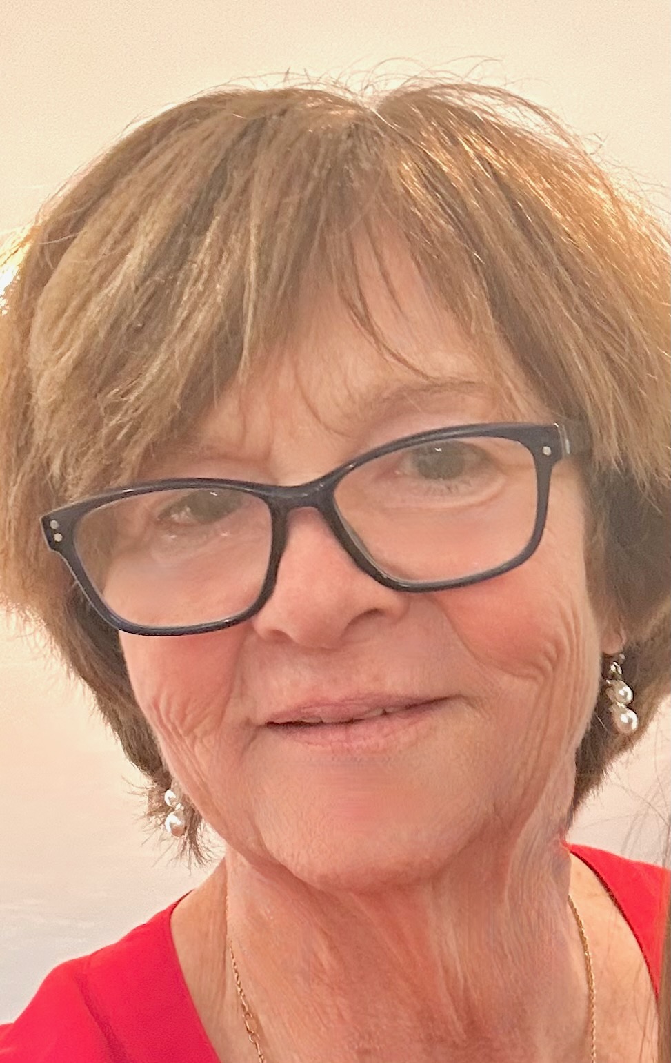 HPNA Distinguished Nursing Practice Award